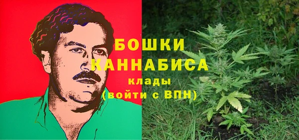 мдпв Майский