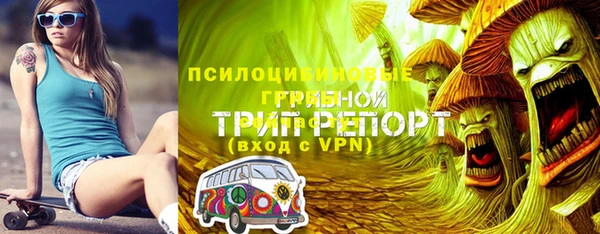 мдпв Майский