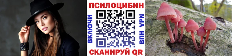Галлюциногенные грибы Psilocybine cubensis  Красково 